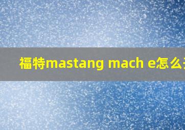 福特mastang mach e怎么开门